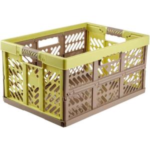 Keeeper Casier Pliant Professionnel avec Poignées Souples, 54 x 37 x 28 cm, 45 l, Ben, Gris Clair(Vert/Taupe)